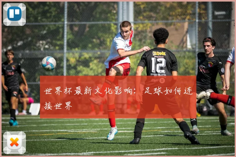世界杯最新文化影响：足球如何连接世界