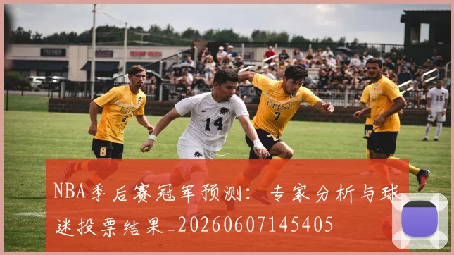 NBA季后赛冠军预测：专家分析与球迷投票结果_20260607145405